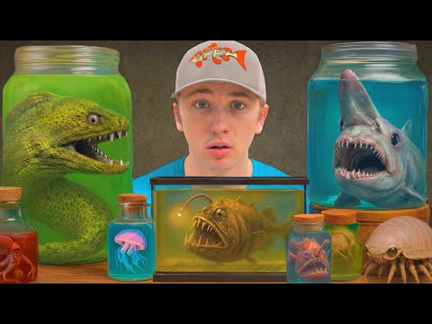 J'ai découvert les créatures marines les plus dangereuses du dark web !