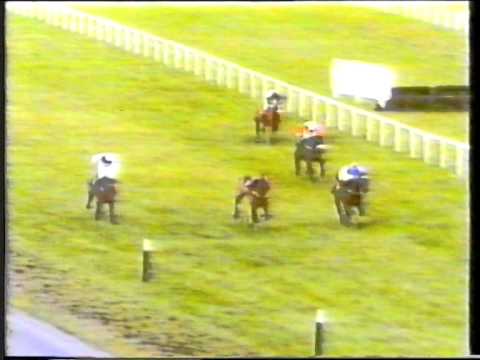 1991 - Leopardstown Chase - Firion's Law