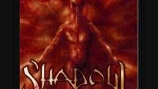 Shadow - The Arrival at the last Quarter