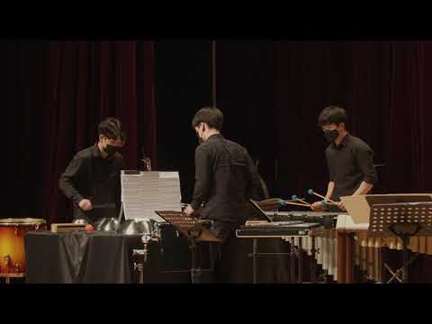 SNUP - "Van Gogh from Space" by Steven Snowden