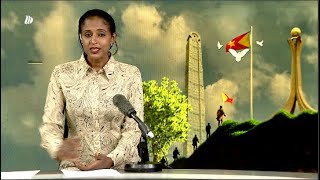 DW International ትግርኛ ዜና ሰዓት 06:30 ፣ 19 ሕዳር 2015 ዓ/ም Live Streaming