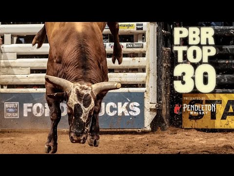 PBR Top 30 Bulls: Top 3