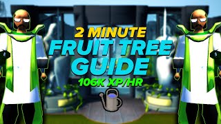 2 Minute Fruit Tree Guide (OSRS)