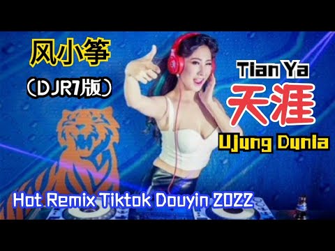 风小筝 - 天涯 Tian Ya (Ujung Dunia)(DJR7版) - Hot Remix Tiktok Douyin 2022 - Lirik terjemahan Indonesia