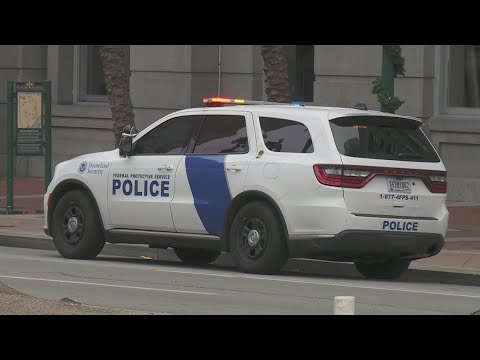 New Orleans' immigrant community braces for operation 'Swamp Sweep'