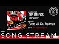 The Briggs - Not Alone (Official Audio)