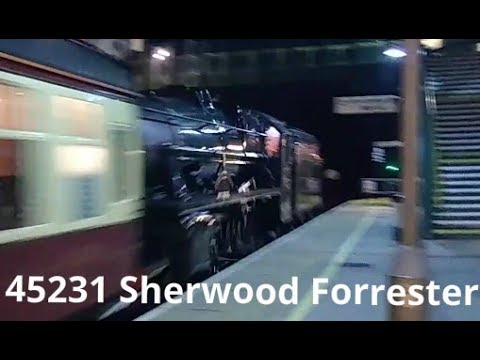 Prestatyn 01.02.2020 - 45231 Sherwood Forrester  with support coach only