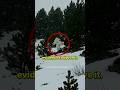 Hanuman Ji Is Alive In The Himalayas Hanuman Hindu Hanumanchalisa Proof India Shorts Story