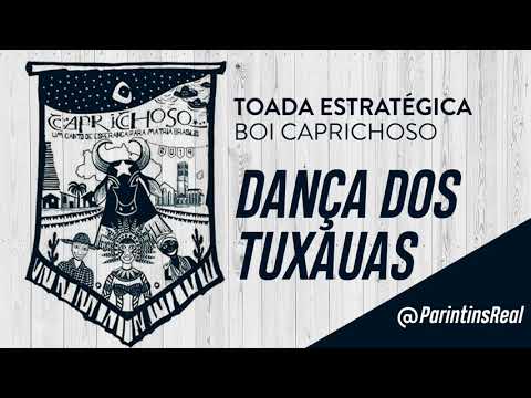 🔵DEMO CAPRICHOSO 2019 - DANÇA DOS TUXAUAS