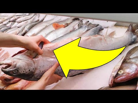 كيف تعرف السمك الفاسد ؟
