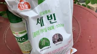 노린재 풍뎅이잡는 저렴한 농약