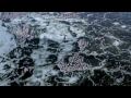 The Crimson Wing Trailer