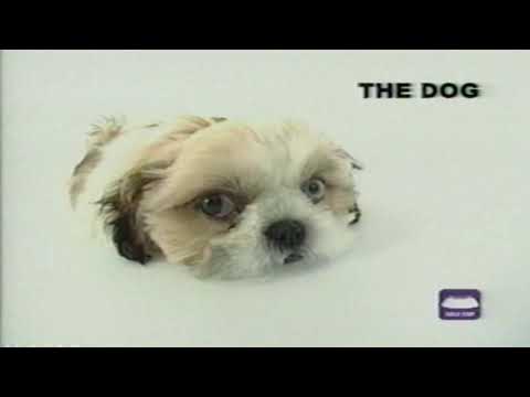 The Dog   Shih Tzu Japanese VHS Video Series