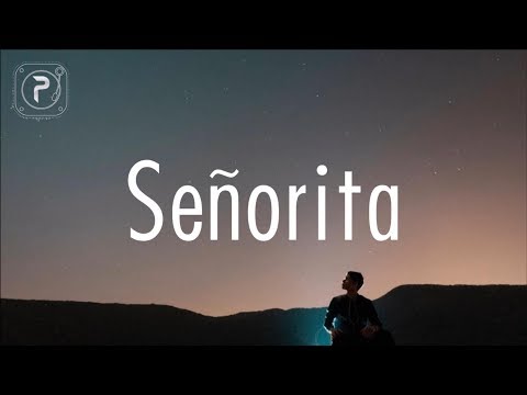 Shawn Mendes, Camila Cabello - Señorita (Lyrics)