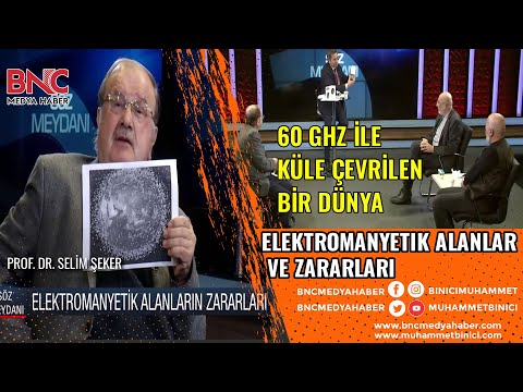 Video 2
