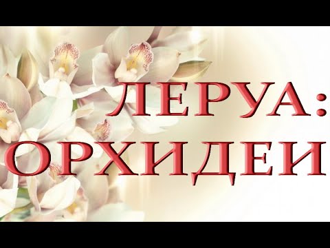 ПОТРЯСАЮЩИЙ новогодний ЗАВОЗ орхидей в ЛЕРУА!06.01.22.ТЦ "Космопорт",Самара.