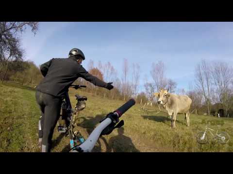 Tura Mtb - Vidraru - Cheile Valsanului