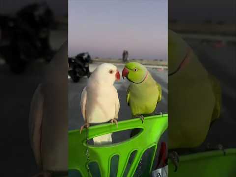 The most wholesome date ever ❤️