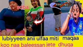 Download lagu Lubiyyeen anii ulfaa miti jedhee uuuffii 🤣🙆 mp3