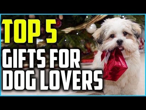 ✅Top 5 Best Gifts for Dog Lovers of 2023