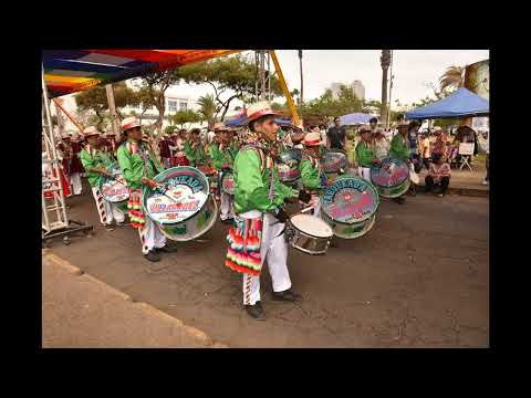 Pueblos Andinos de la Región Arica-Parinacota(Carnaval de Arica)