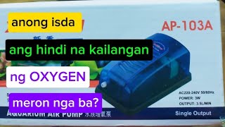 ISDA NA HINDI KAILANGAN NG OXYGEN, MERON NGA BA?