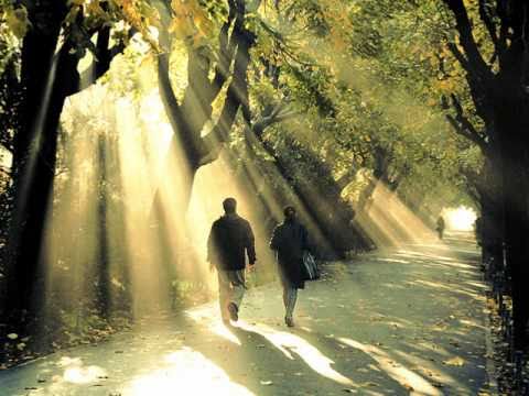 Konjska surla - Jesen u Zagrebu