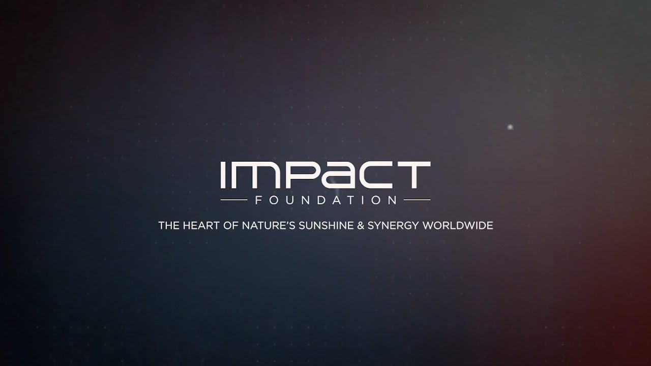 Impact Foundation 2020 Impact