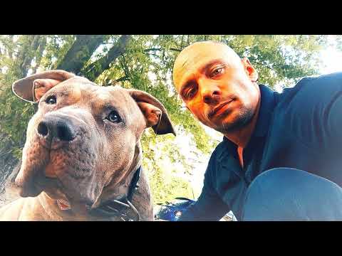 Franco030-Einzelgänger (Freestyle Fuck Fake Friends Fuck Fake Family)