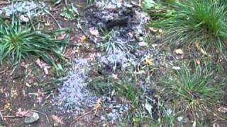 Kaz vs. Wild, My last day practicing survival, bug out and rustic camping.