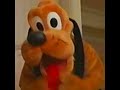 Hap Palmer Baby S Good Doggy Isolated Vocals