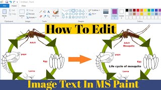 How To Edit Text in Any Picture In MS paint | Editing Image Text in Paint