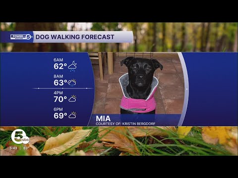 Paw-ma Mia, here we go again! - YouTube