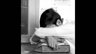 METZ - &quot;Wet Blanket&quot;