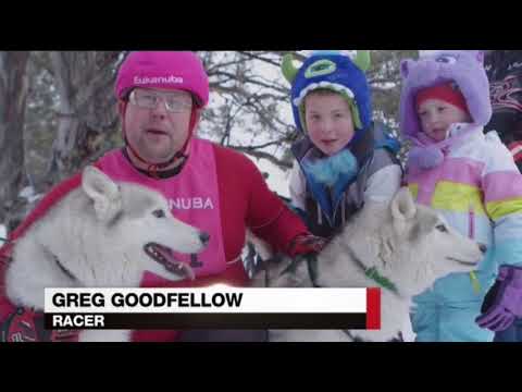 PRIME7 News Border 14-08-2017