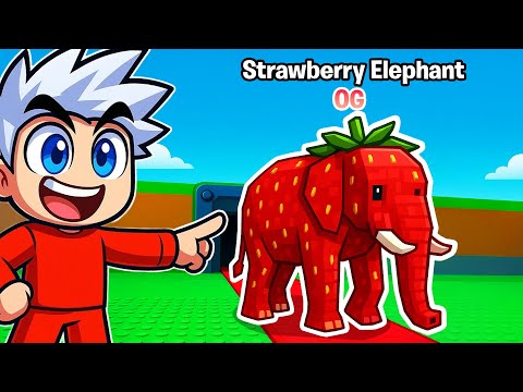 NEW RARE *BETTER THAN SECRET* in Steal a Brainrot!