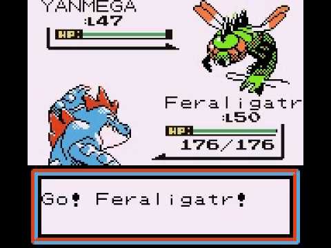 Ryudo vs Pokemon Brown - "Gym Leader" Bugsy