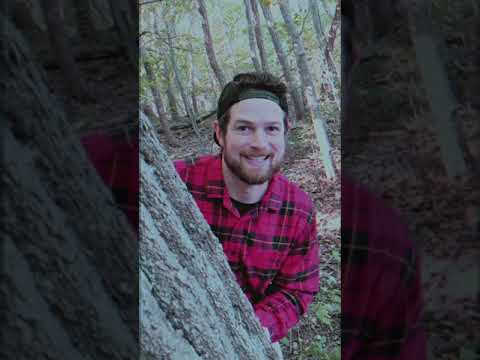 Skeptic - Driveways