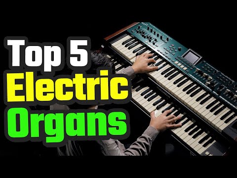 Best Electric Organs On 2025