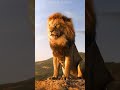 KGF Dialogue Tamil Motivational Whatsapp Status Ashok Chandran