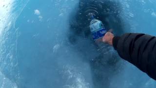 Download lagu Ice Water from Glacier on top of Illimani in Bolivia mp3