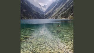 Heavyhearted At Losing The Nights