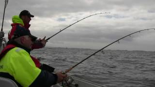 preview picture of video 'Non-stop Cod Fishing in Rorvik Norway'