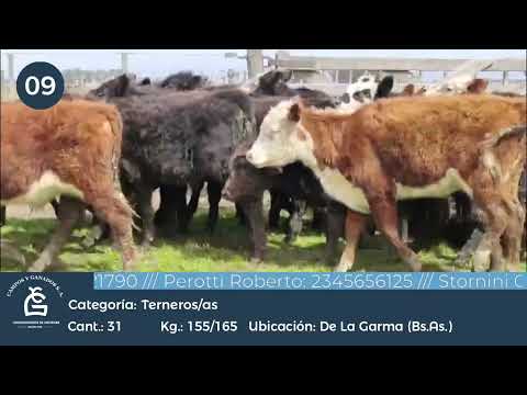 Lote M Y H - De la Garma Bs As