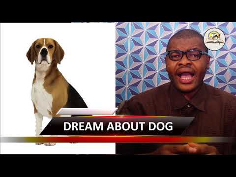 DREAM ABOUT DOG - Evangelist Joshua Orekhie