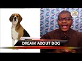 DREAM ABOUT DOG - Evangelist Joshua Orekhie