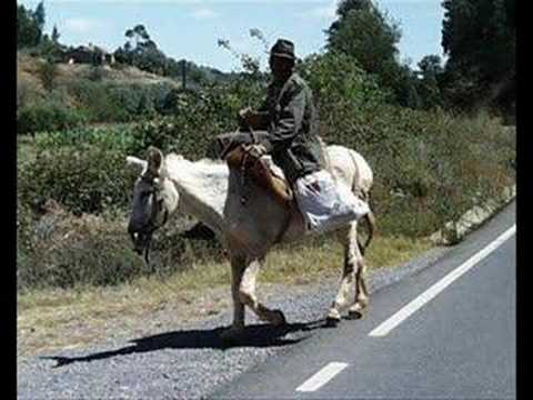 Suite Alentejana Nº 1 (Fandango) de Luís de Freitas Branco