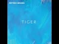 Petter Carlsen - Tiger 