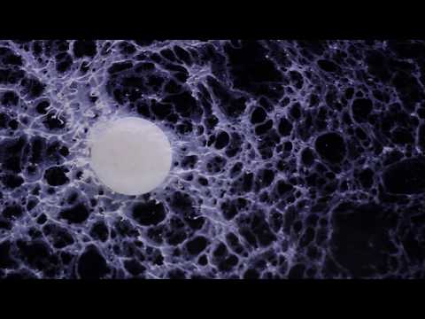 Image de prévisualisation YouTube