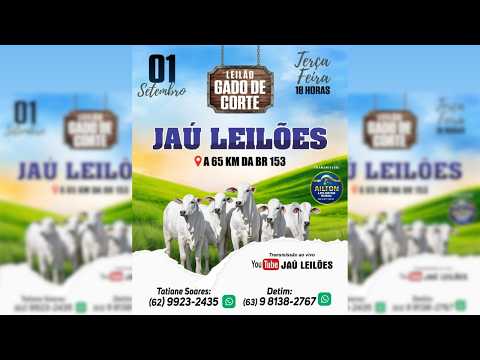 LEILÃO GADO DE CORTE  - JAU LEILÕES  - JAU DO TOCANTINS  - 01 / 09 / 2026